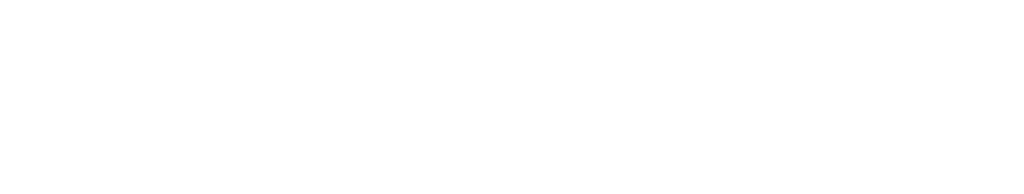 Salling Group logo